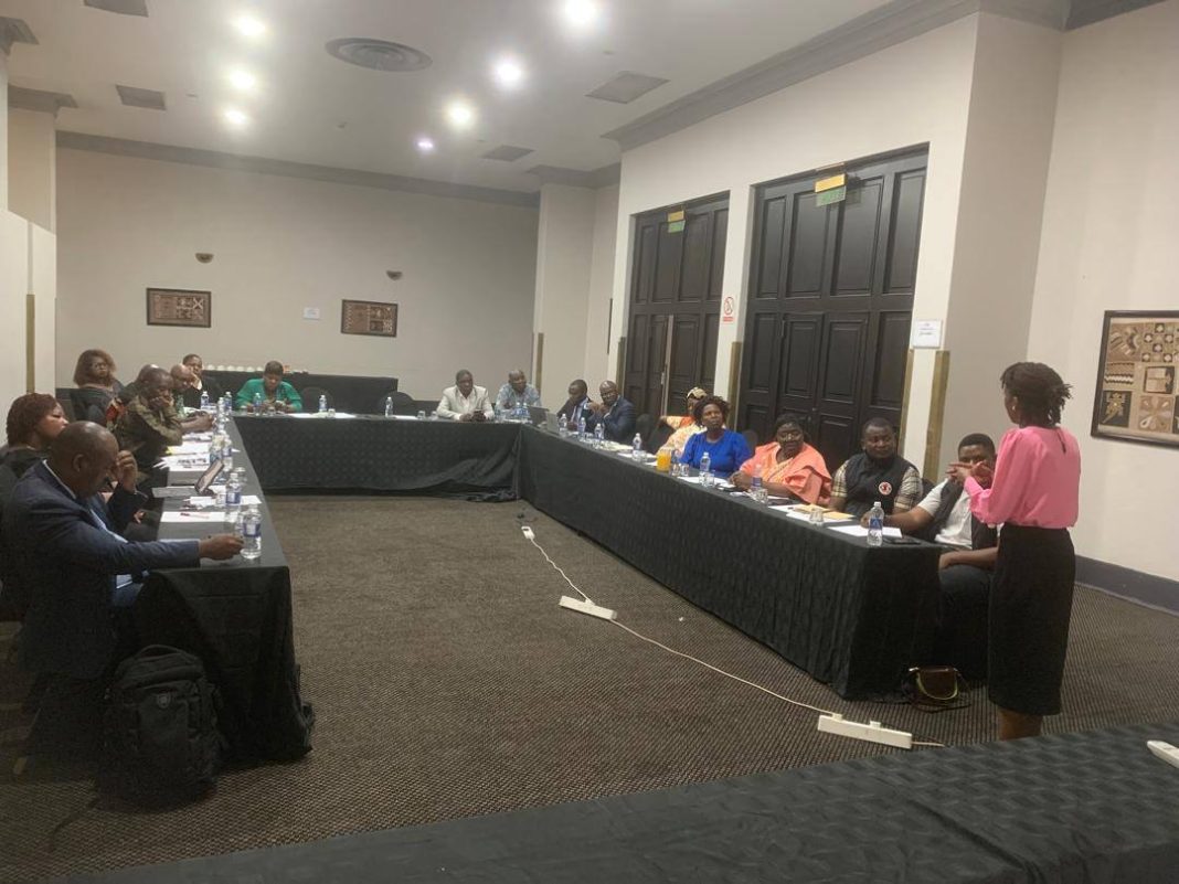 A woman in a pink blouse stands speaking to a U-shaped table of adults seated in a conference room during a child rights workshop.
